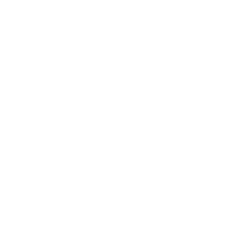 icone-puce-blanc.png