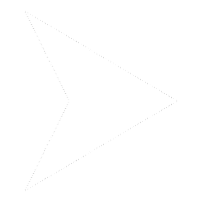icone-puce-blanc.png