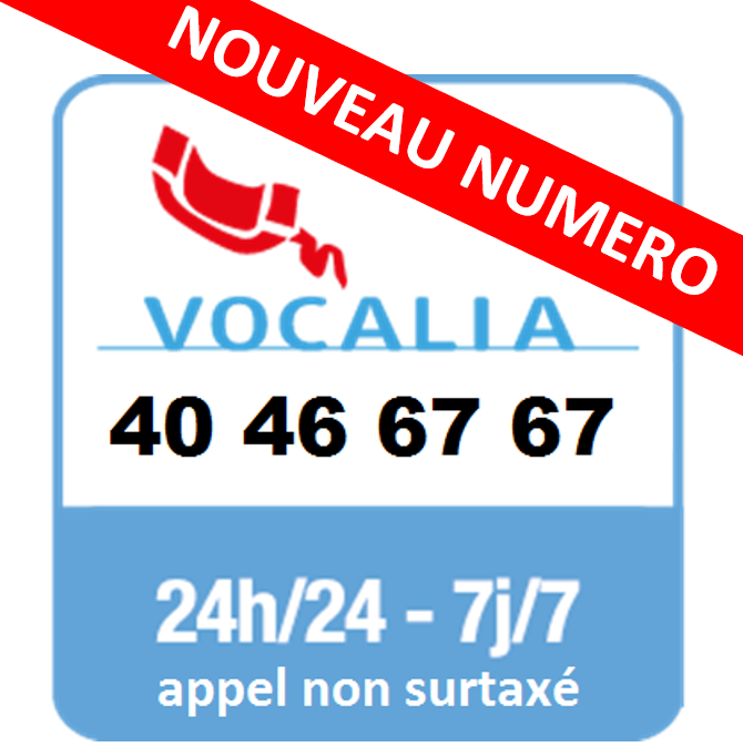 vocalia societe generale vocalia societe generale