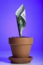 Financer_votre_cycle_d'exploitation